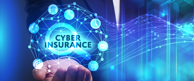 Gyms and Cyber Insurance: A Balanced Approach