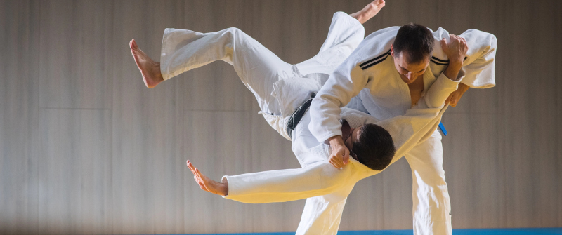Insurance Differences Between Karate, MMA, and Traditional Martial Arts
