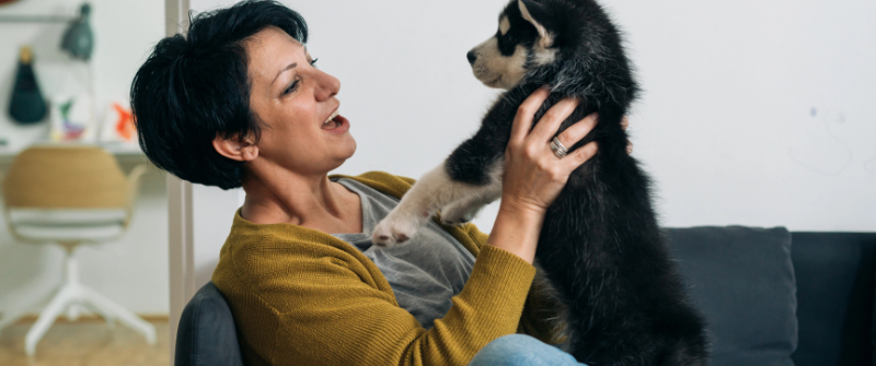 How to Start an Animal-Assisted Therapy Program